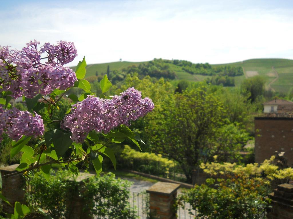 Tenuta Calabiana Diano dʼAlba Quarto foto