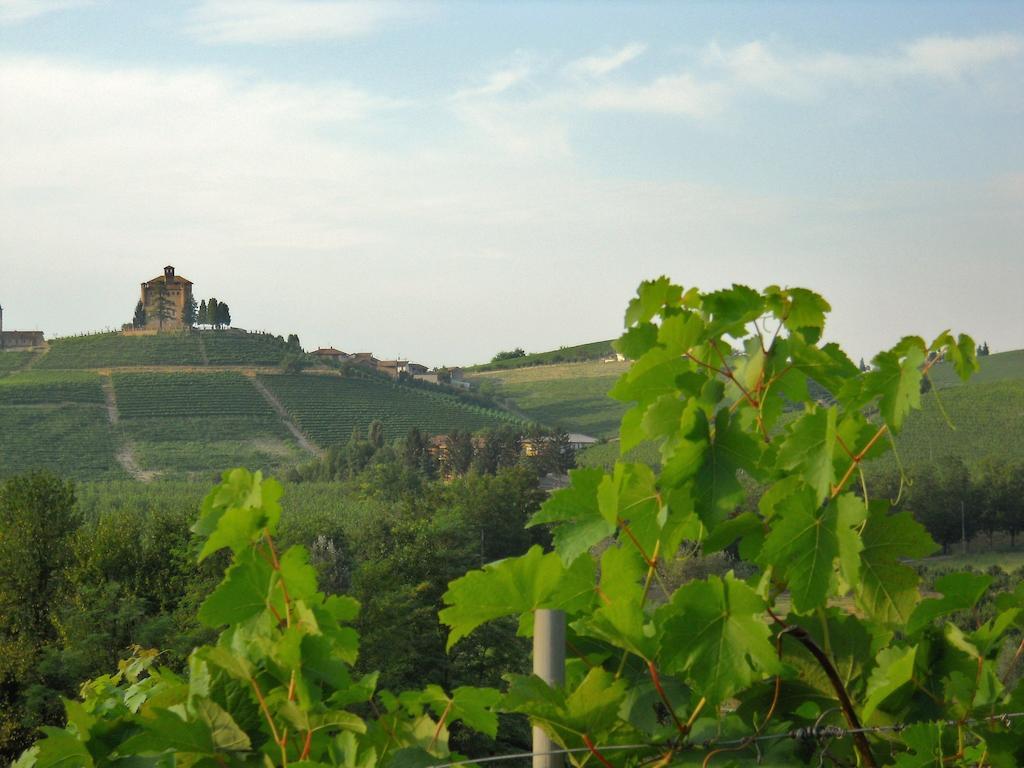 Tenuta Calabiana Diano dʼAlba Quarto foto